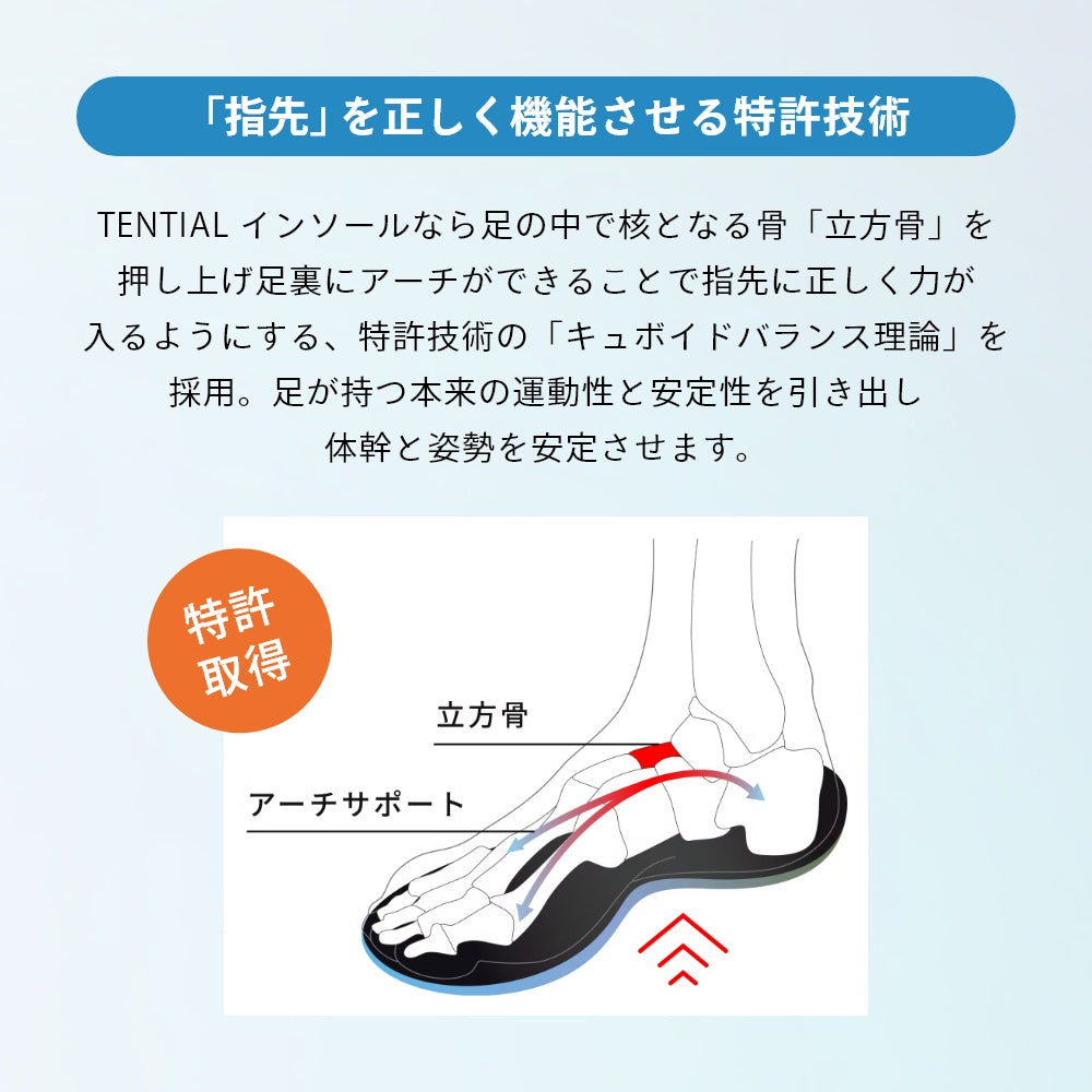 ゴルフ用 ゴルフシューズ スニーカー 体幹 整える 通気性