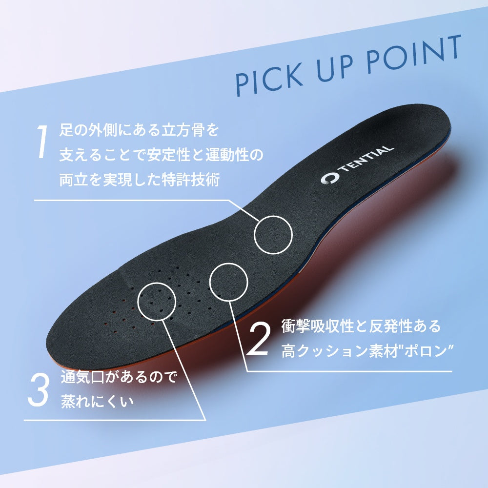 衝撃吸収 立ち仕事 スニーカー 中敷き ウェルネス 体幹 整える INSOLE standard アーチサポート トレーニング 浮き指