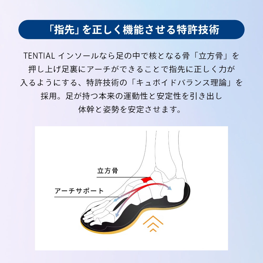 立ち仕事 ユニセックス スニーカー 中敷き 体幹 整える アーチサポート 通気性 テンシャルインソール