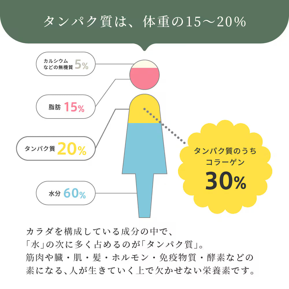 eume イウミー MATCHAI PROTEIN 抹茶 プロテイン 240g