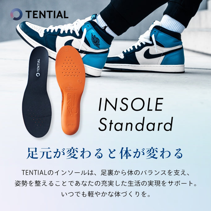 衝撃吸収 立ち仕事 スニーカー 中敷き ウェルネス 体幹 整える INSOLE standard アーチサポート トレーニング 浮き指