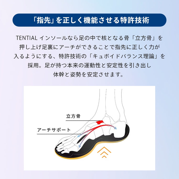 衝撃吸収 立ち仕事 スニーカー 中敷き ウェルネス 体幹 整える INSOLE standard アーチサポート トレーニング 浮き指