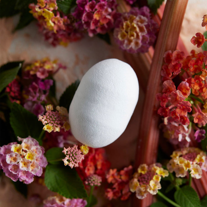 FRAGRANCE BATH BOMB & BATH POWDER No.1