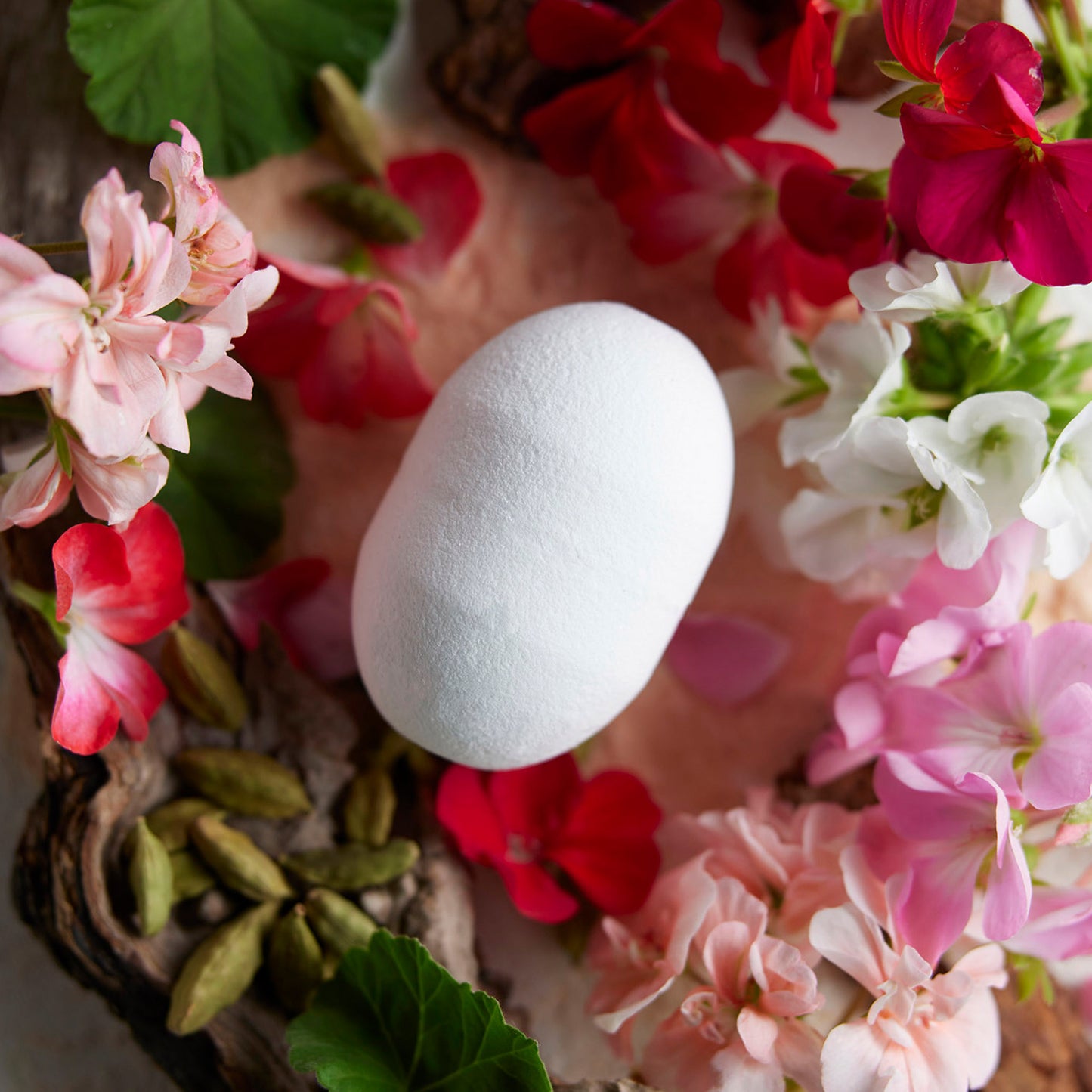 No.15 FRAGRANCE BATH BOMB & BATH POWDER THE / ザ